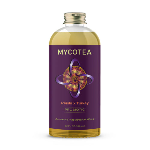 Reishi x Turkey Tail MycoTea®