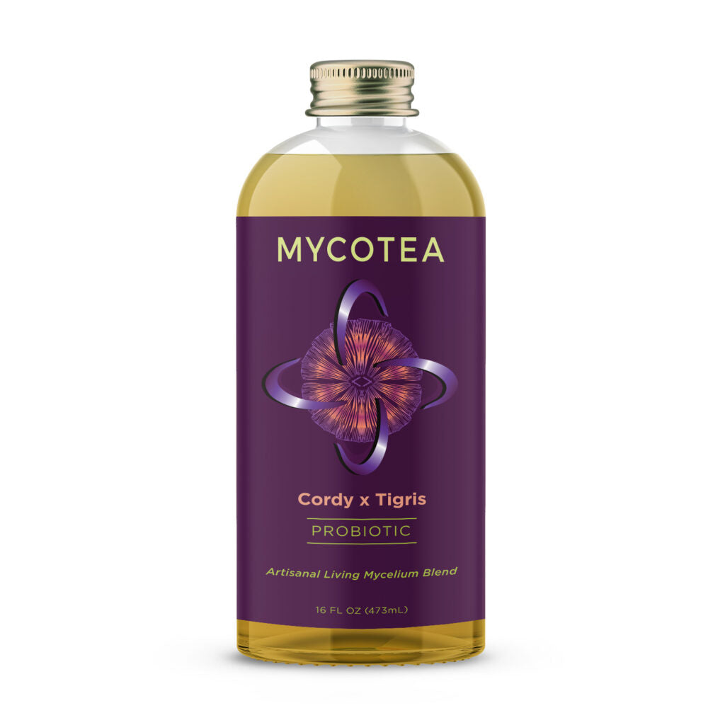 Cordy x Tigris MycoTea®