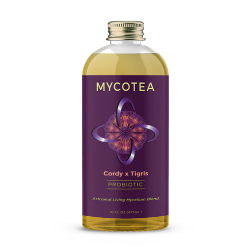 Cordy x Tigris MycoTea®