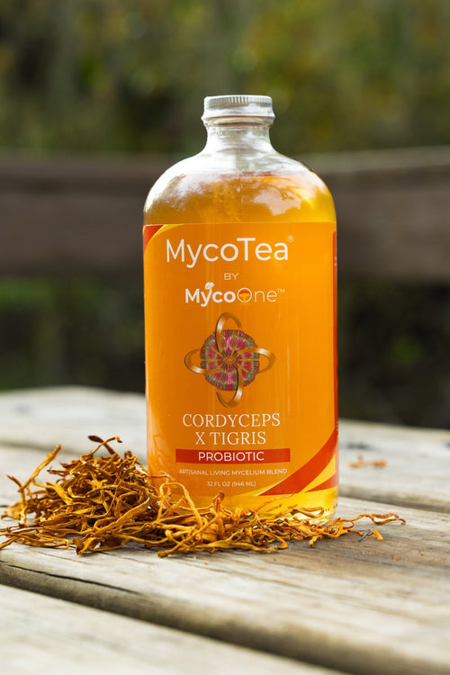 Cordy x Tigris MycoTea® - MycoOne™