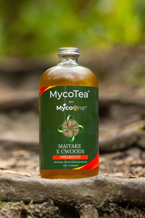 Maitake x CWoods MycoTea® - MycoOne™